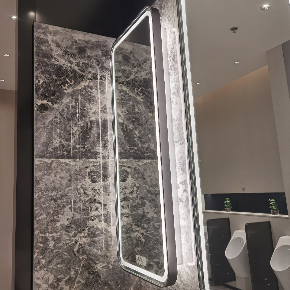 Hotel Mirror Cabinet Stainless Steel