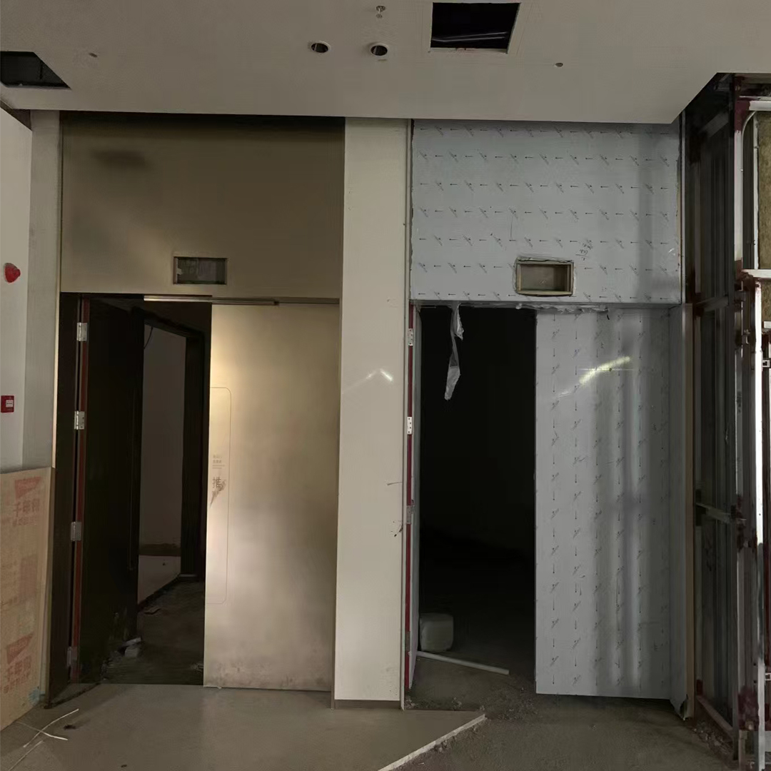 Elevator Door Customized
