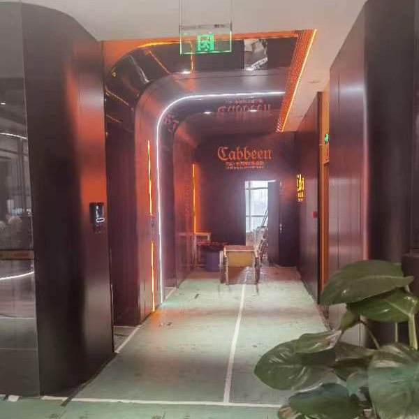 Ceiling Lighting Trough